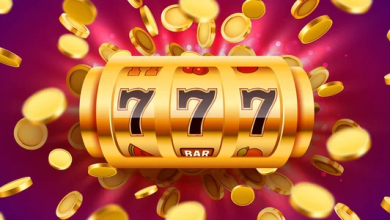 12 Beginner-Friendly Insights Into Online Slot Platforms